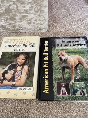 American pit bull terrier - american,