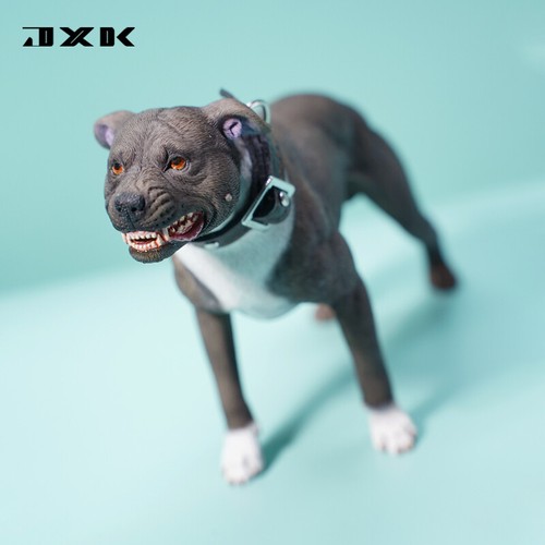 Jxk american pit - pit, bull