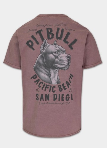 Shirt uomo pit - t-shirt,