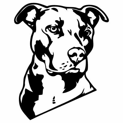 Kit adesivi tuning - kit, pitbull