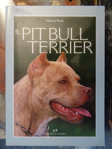 Pit bull terrier valeria - pit,
