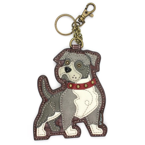 Chala pit bull - chala,