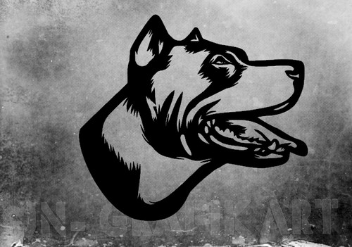 Adesivo pitbull pit bull - pitbull,