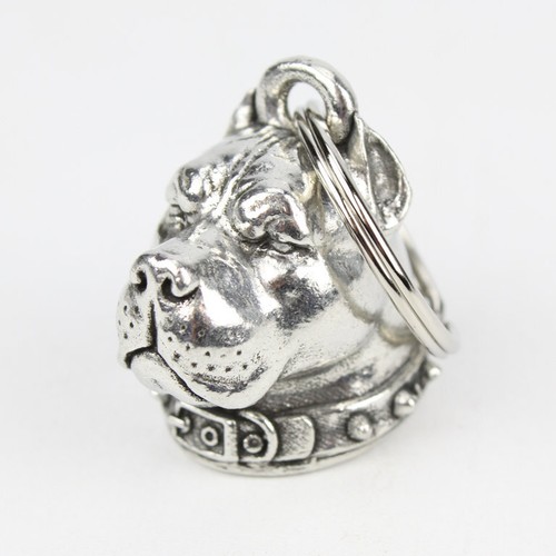 Pit bull dog cane - pit,