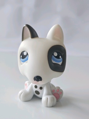 Lps bull terrier pit - bull,