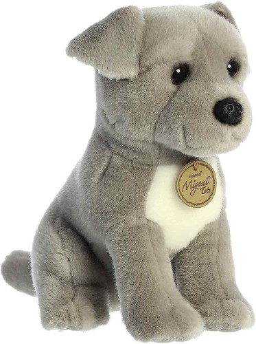 Aurora miyoni cucciolo pit - -,